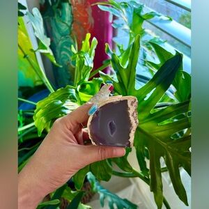 Parrot carving on Agate Geode